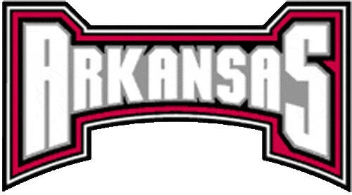 Arkansas Razorbacks 2001-2008 Wordmark Logo t shirts DIY iron ons v6